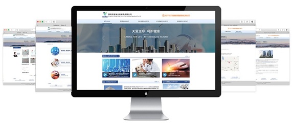 金百瑞科技助力國藥控股集團官網成功升級，彰顯武漢企業網站建設實力