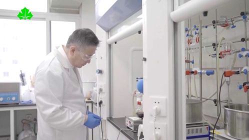 智能時(shí)代勞動(dòng)者之歌 當(dāng)高分子材料研發(fā)遇見AI頭腦風(fēng)暴